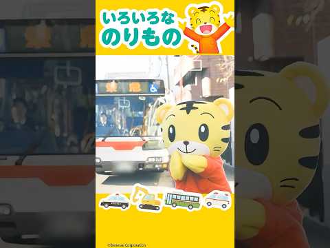 しまじろうバスにのる🚌｜のりもの｜バス｜しまじろう｜こどもちゃれんじ サムネイル