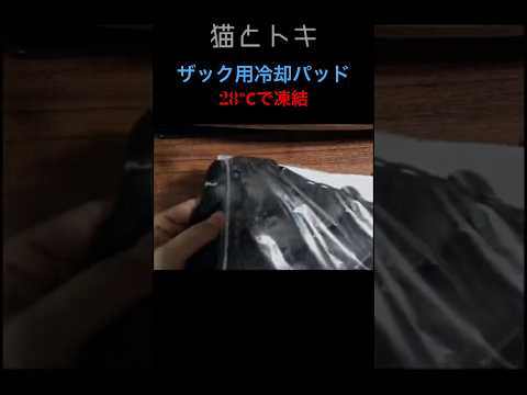 【冷却パッドおすすめ】夏の熱中症対策・発熱時の便利グッズ｜繰り返し使える人気アイテムを徹底解説 冷却パッド 冷却パッド… サムネイル