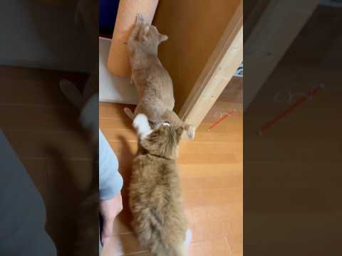 ヒットアンドアウェイ サムネイル