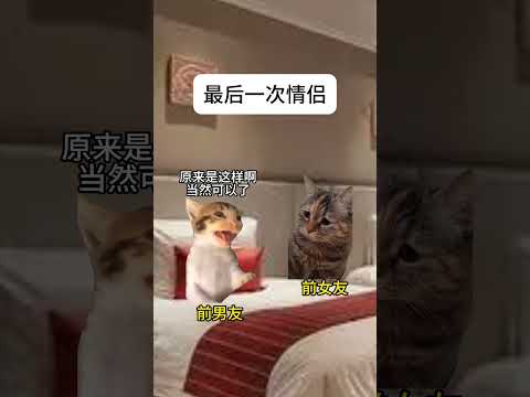 最后一次情侣有趣 猫meme 猫meme剧场 猫meme小剧场 内容过于真实  故事 貓 猫猫meme小剧场 喵不可言 サムネイル