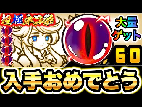ルナーシャが強すぎて闇目ザックザク！超極ネコ祭で当てた人おめでとう！！！　にゃんこ大戦争 サムネイル