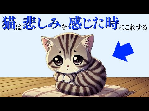 【猫が悲しみを感じだ時にする行動】 猫の雑学 サムネイル