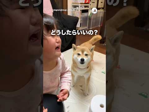 困る犬｜PECO サムネイル