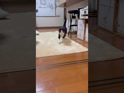 来てくれた サムネイル