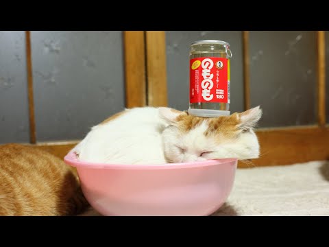 うずまきLIVE配信？　放置？　朝まで？　2026年1月4日 サムネイル