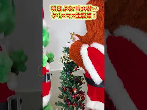 明日はクリスマス生配信♪今年もみんなですごそうね！クリスマス クリスマスツリー 飾り付け shorts ガチャピン ム… サムネイル
