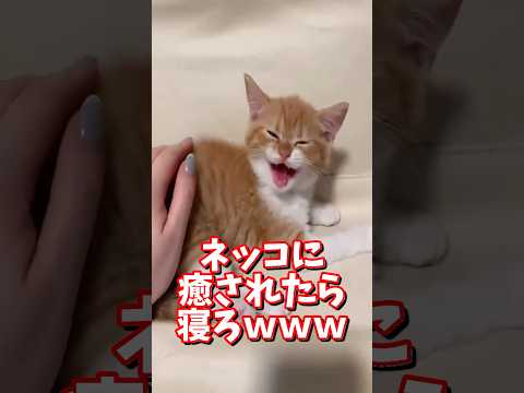 2026年1月9日 サムネイル