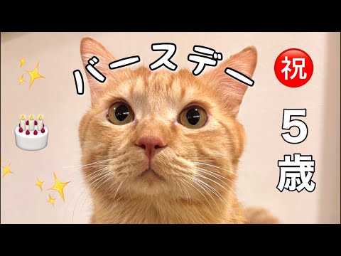 やり直し！ サムネイル