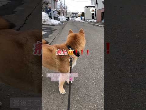 お姉ちゃんを待ってた！！｜PECO サムネイル