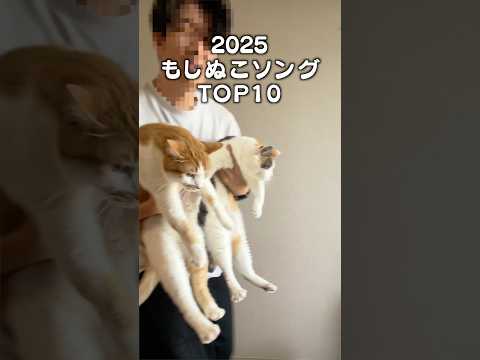 猫のうたトップ10 サムネイル