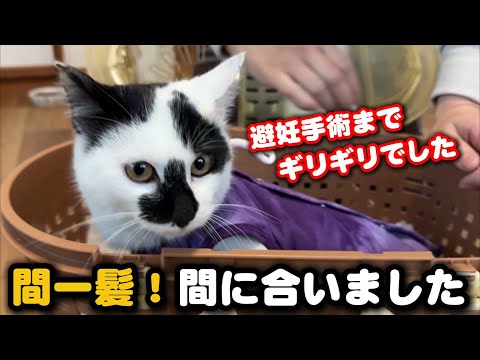 避妊手術の日…本当にギリギリでした サムネイル
