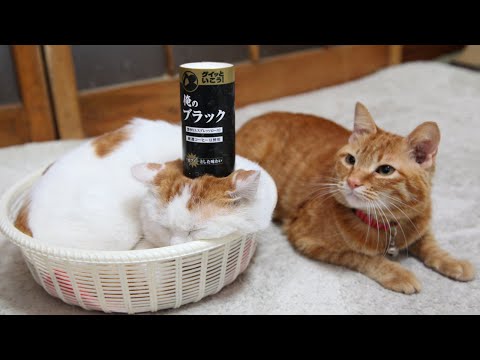 うずまきLIVE配信？　放置？　朝まで？　2026年2月15日 サムネイル