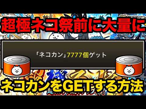 超極ネコ祭前にネコカンを今すぐ大量ゲットする方法紹介！意外と知られてないネコカンを1000個以上GETする方法知ってる… サムネイル