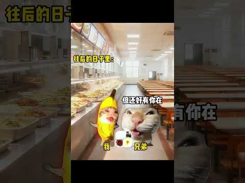 当你有一个好兄弟.. 最累的那年，身边都是挚友有趣 猫meme 猫meme剧场 猫meme小剧场 内容过于真实  故事… サムネイル