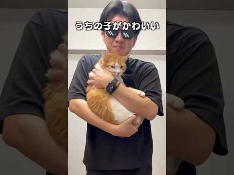 「うちの子が一番かわいい」猫あるある|フルはApple Musicほか音楽アプリへ サムネイル
