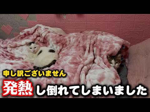 飼い主が発熱しダウンしてしまいました サムネイル