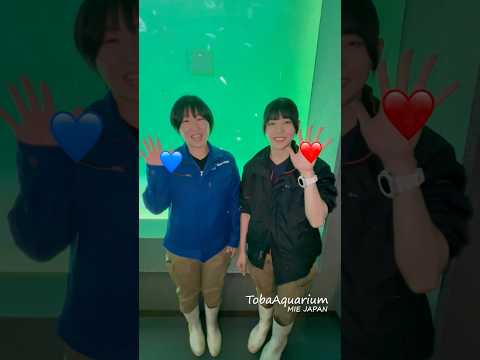 《鳥羽水族館》❤️✖️💙を混ぜたら何色になる⁉️ 鳥羽水族館 tobaaquarium アカモンガラ colormix… サムネイル