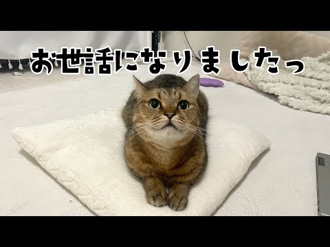 お世話になりました。 サムネイル