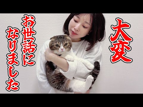 2025年も大変お世話になりました！ サムネイル