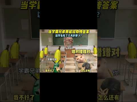 当学霸兄弟用屁给你传答案有趣 猫meme 猫meme剧场 猫meme小剧场 内容过于真实  故事 貓 猫猫meme小剧… サムネイル