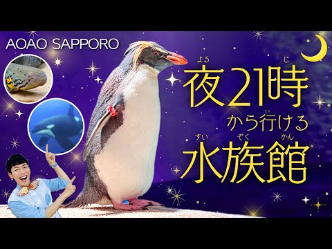 札幌の超水族館AOAO SAPPOROがすごい！都会の中の“ペンギン天国”を徹底ガイドツアー🐧【北海道旅行・観光】 サムネイル