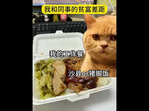 我和同事们的贫富差距 有趣 猫meme 猫meme剧场 猫meme小剧场 内容过于真实  故事 貓 猫猫meme小剧场… サムネイル