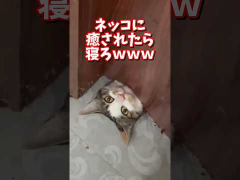 2026年2月13日 サムネイル