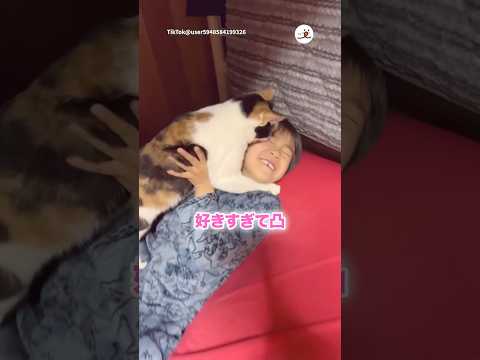 愛が止まらない保護猫さん🐱｜PECO サムネイル