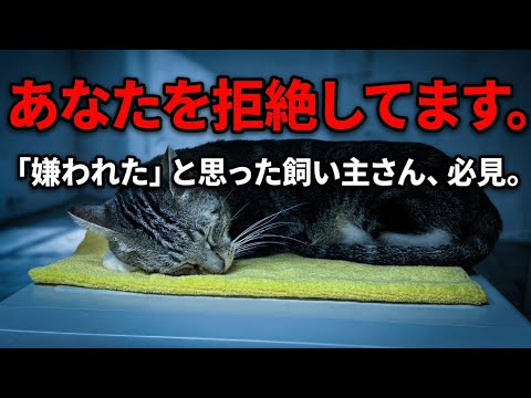 【衝撃の事実】愛猫があなたを嫌いな時にだけする行動。それ、嫌われてる証拠です。 サムネイル