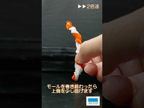 !NEW!美ら海クリスマスリースニシキアナゴ編 サムネイル