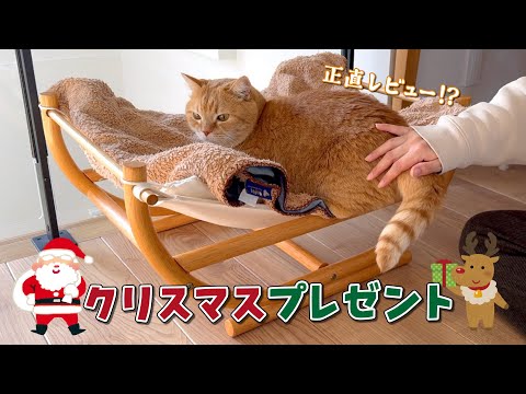 愛猫へのクリスマスプレゼントを開封したらまさかの反応が… サムネイル