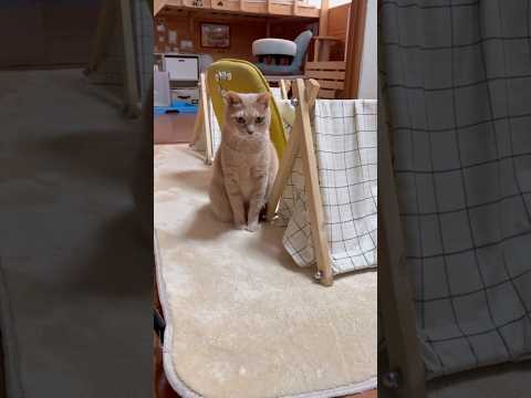 え？ヘディング？ サムネイル