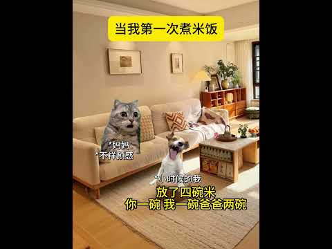 锅：没事，是我冒饭了 有趣 猫meme 猫meme剧场 猫meme小剧场 内容过于真实  故事 貓 猫猫meme小剧场… サムネイル