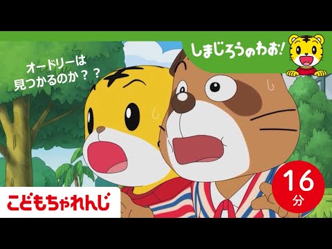 【16分アニメ】オードリーをさがせ！│家族│成長 │生き物│お礼│しまじろうのわお！アニメ│しまじろうチャンネル公式 サムネイル