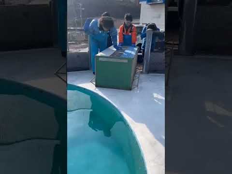 「もさお」凍るど!プールへ サムネイル