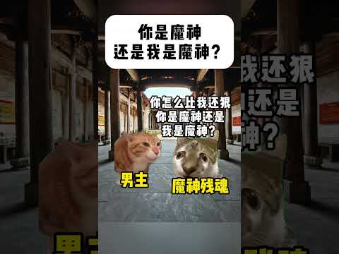 話題沸騰！神回猫ミーム劇場の面白シーン集 サムネイル