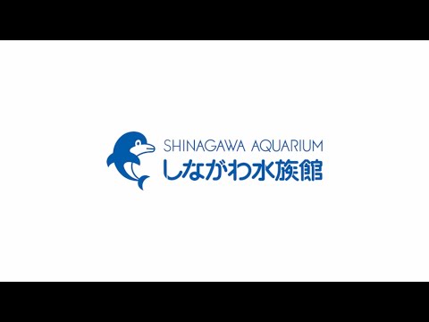 嬉しいお知らせ＠しながわ水族館 サムネイル