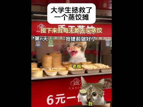 工人阶级和学生又站在了一起有趣 猫meme 猫meme剧场 猫meme小剧场 内容过于真实  故事 貓 猫猫meme小… サムネイル