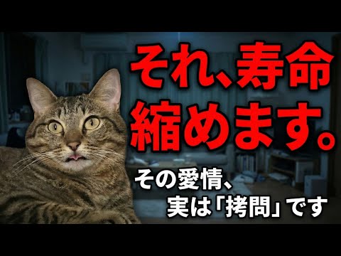 【絶対やめて】猫の心が壊れる飼い主の習慣 #猫 #ねこ サムネイル