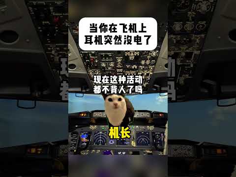 当你在飞机上耳机突然没电了有趣 猫meme 猫meme剧场 猫meme小剧场 内容过于真实  故事 貓 猫猫meme小… サムネイル