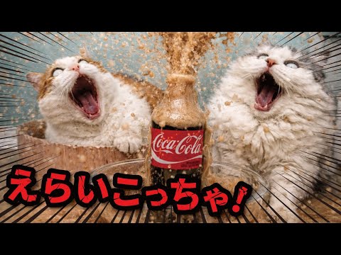 コーラにメントスほりこんだらえらいことなっても〜たがな！！！ サムネイル