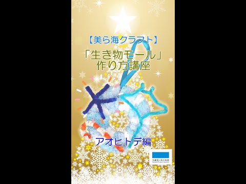 「美ら海クリスマスリース」アオヒトデ編 サムネイル