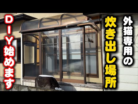外猫が過酷な冬を越す炊き出し場所を作りたいと思います サムネイル