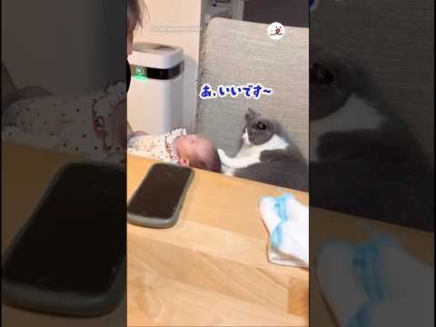 赤子拒否｜PECO サムネイル