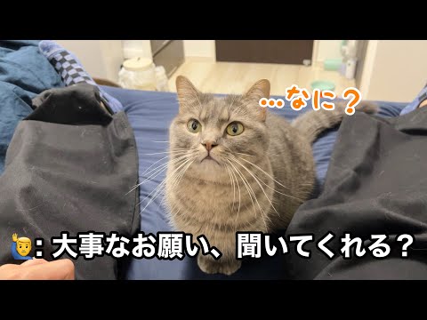 パパと約束した猫が、ママに届けてくれたもの。 サムネイル