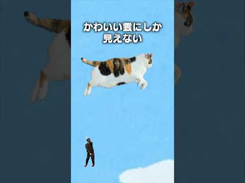 「夢の中で飛んでる」猫あるある|フルはApple Musicほか音楽アプリへ サムネイル