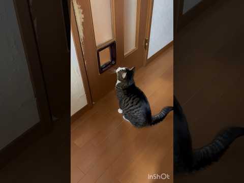 やっと開いたわ サムネイル