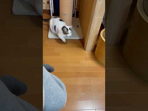 そんなに驚くとは思わんかった サムネイル