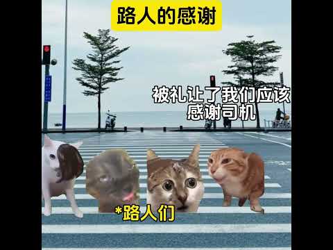 路人的感谢有趣 猫meme 猫meme剧场 猫meme小剧场 内容过于真实  故事 貓 猫猫meme小剧场 喵不可言 サムネイル