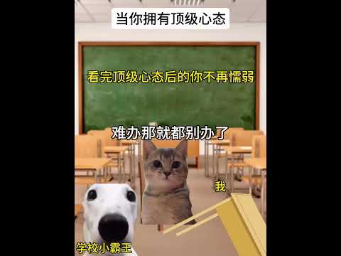 当你看完顶级心态，你将抛弃懦弱有趣 猫meme 猫meme剧场 猫meme小剧场 内容过于真实  故事 貓 猫猫mem… サムネイル